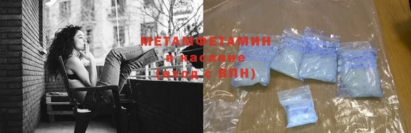 шишки Няндома
