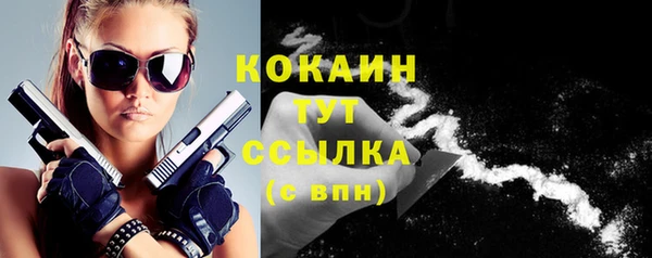 молекула духа Билибино