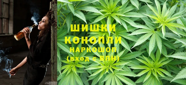 шишки Няндома
