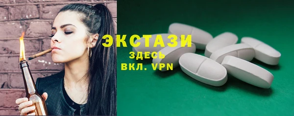 гидра Новодвинск