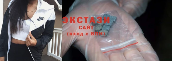 гидра Новодвинск
