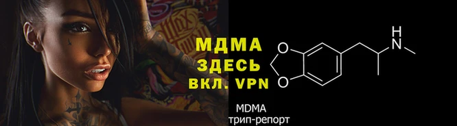 гидра Новодвинск