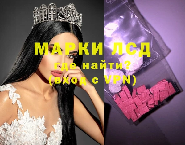 шишки Няндома