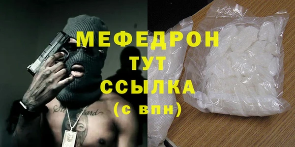 шишки Няндома