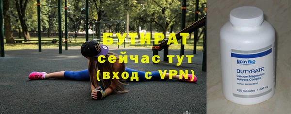 шишки Няндома