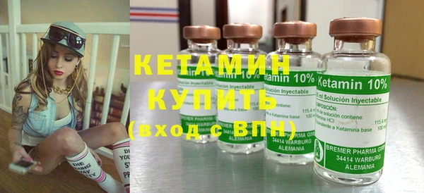 шишки Няндома