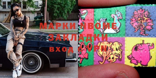 шишки Няндома