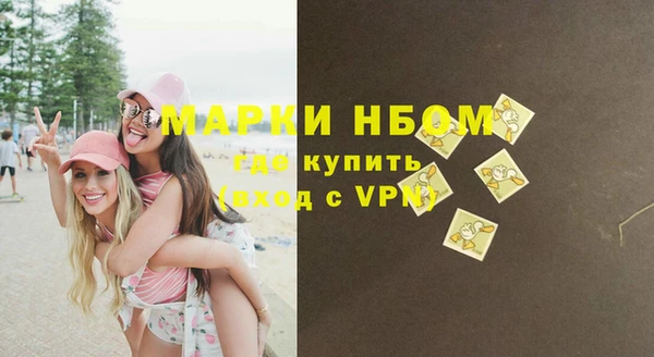гидра Новодвинск