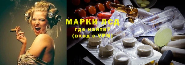 гидра Новодвинск