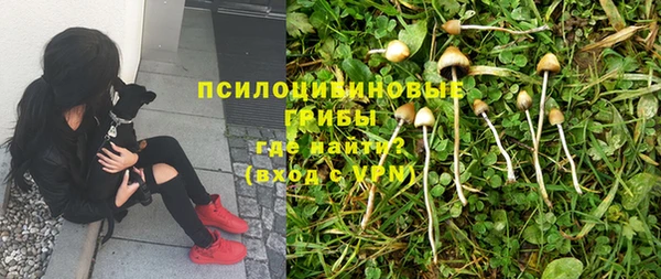 Альфа ПВП Нязепетровск