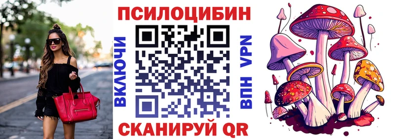 Галлюциногенные грибы Psilocybine cubensis  цены наркотик  Татарск 